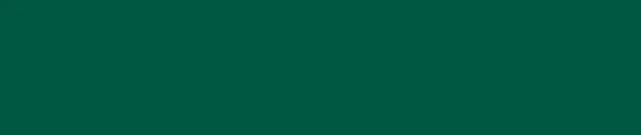 Green Colour Block