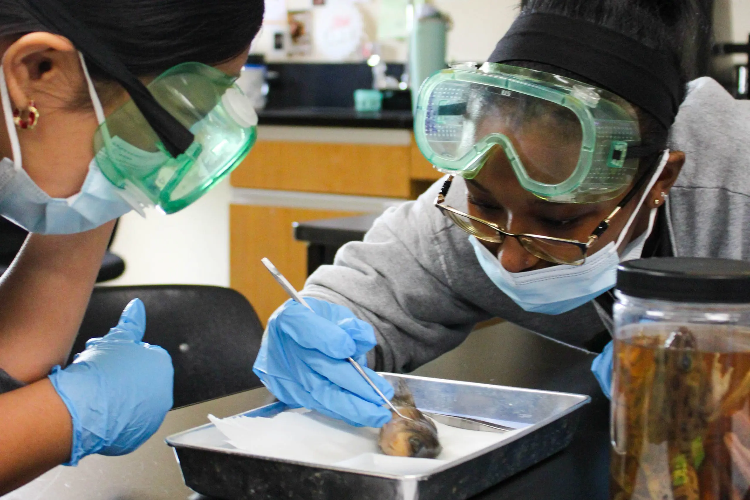 STVM students dissecting a fish in a science class.